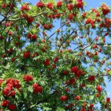 0508F 14 Weser-Leine